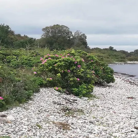 펜션 5 Person In Aabenraa-by Traum *